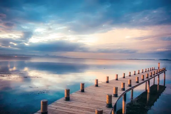 怎么介绍公司获奖方案