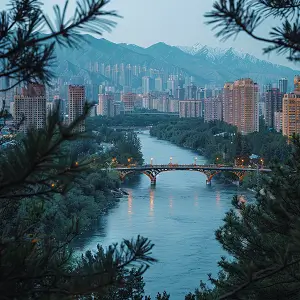 科创芯片公司介绍